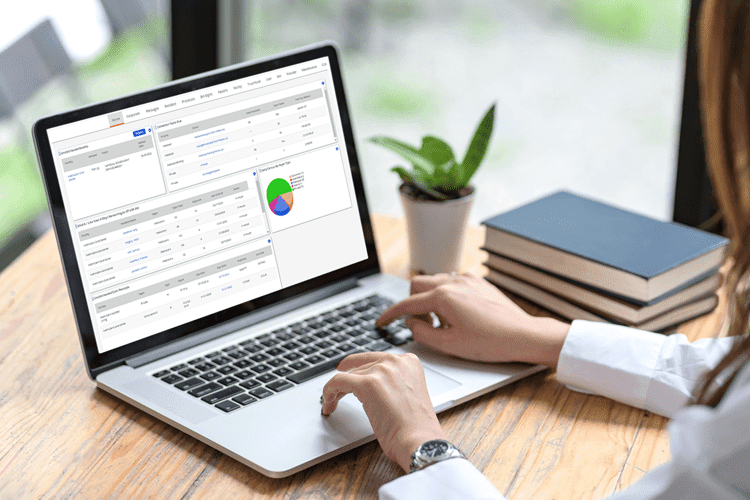 RCM Professional using. alaptop